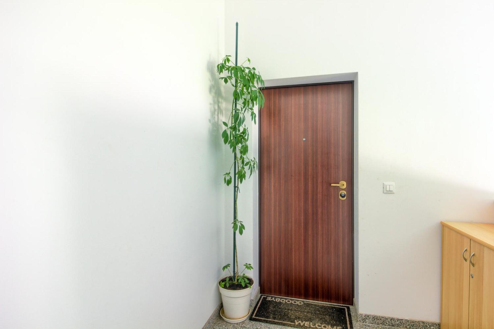 Apartments Zara Bagian luar foto
